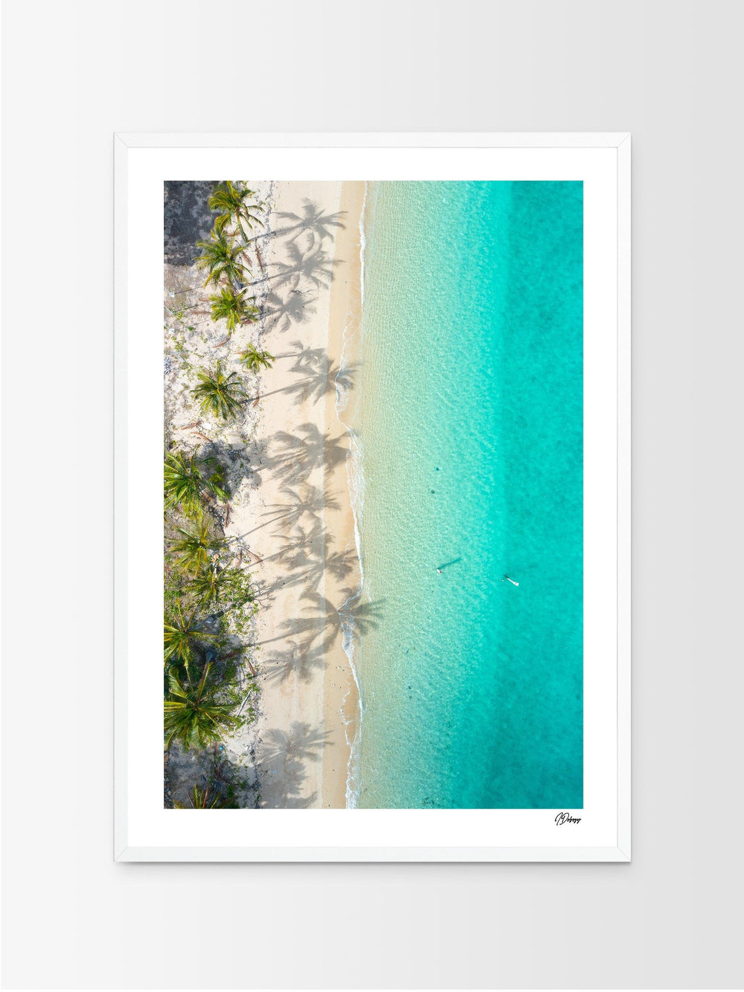 Shadows & Palms – Whitsundays Wall Art Print - Australia Unseen