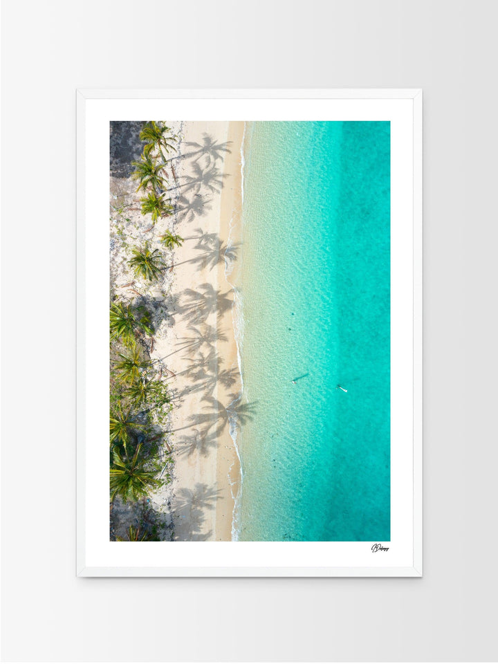 Shadows & Palms – Whitsundays Wall Art Print - Australia Unseen