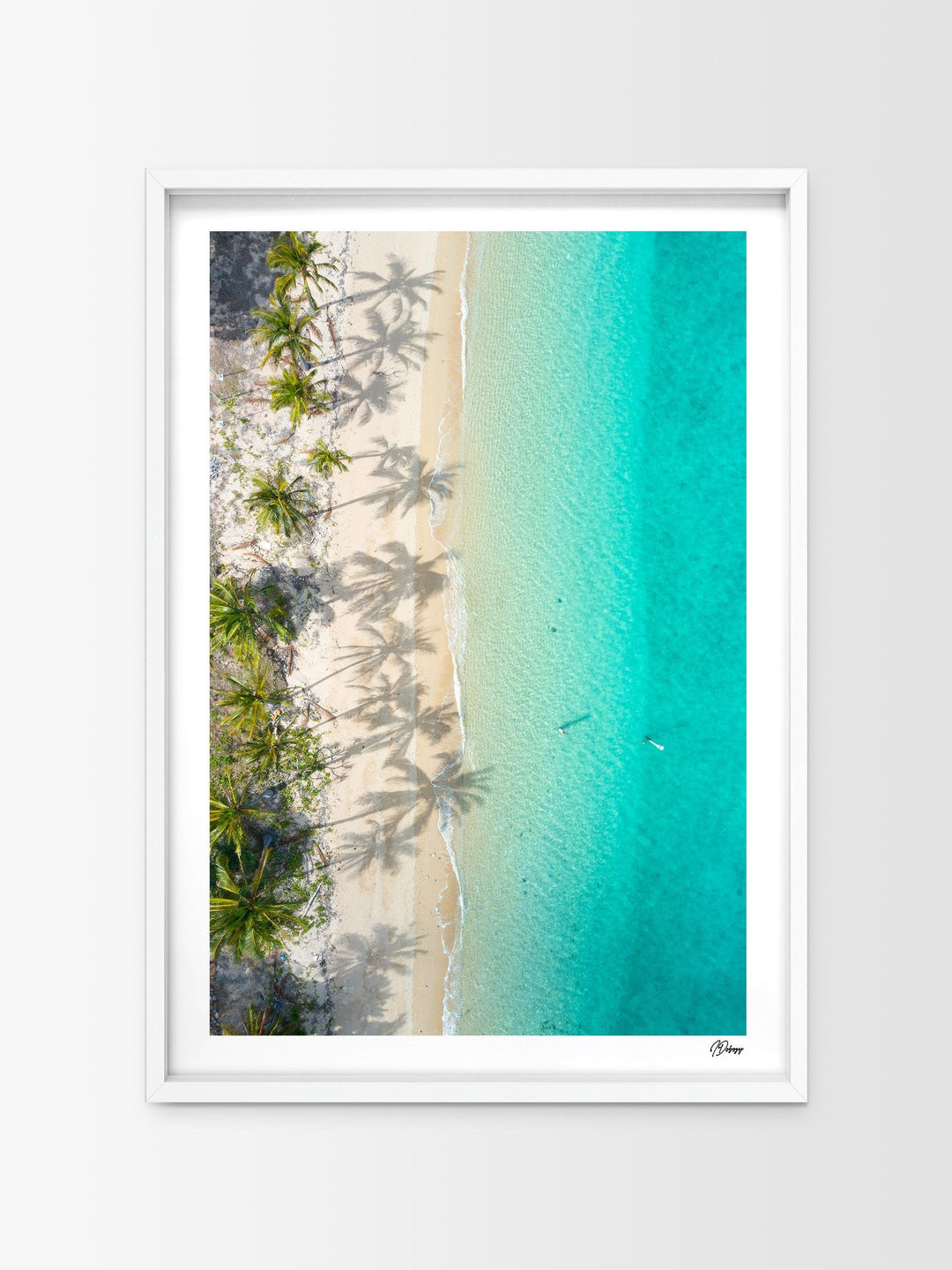 Shadows & Palms – Whitsundays Wall Art Print - Australia Unseen