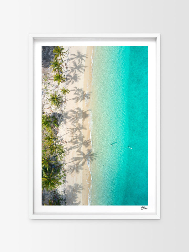 Shadows & Palms – Whitsundays Wall Art Print - Australia Unseen