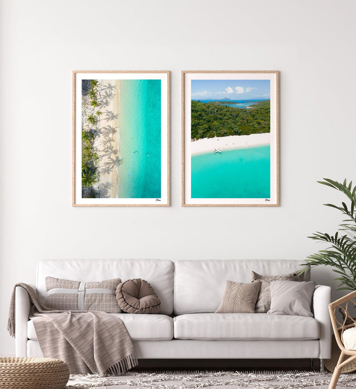 Shadows & Palms – Whitsundays Wall Art Print - Australia Unseen