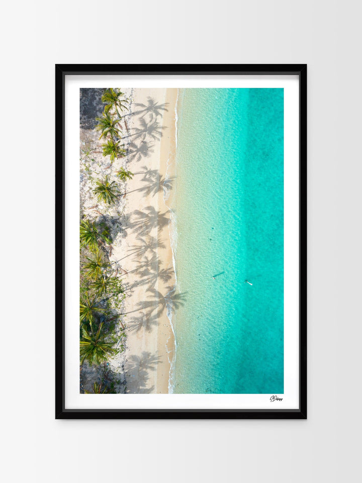 Shadows & Palms – Whitsundays Wall Art Print - Australia Unseen