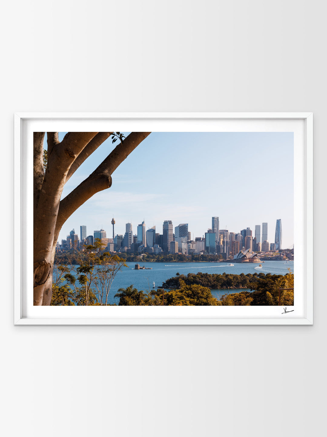 Taronga 01 - Wall Art Print - Australia Unseen