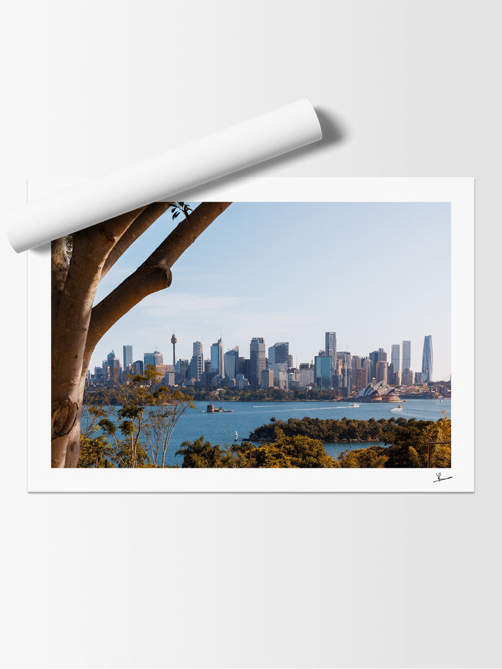 Taronga 01 - Wall Art Print - Australia Unseen