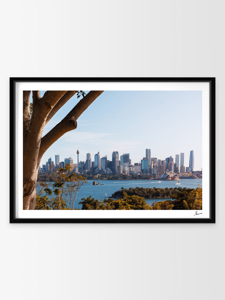 Taronga 01 - Wall Art Print - Australia Unseen