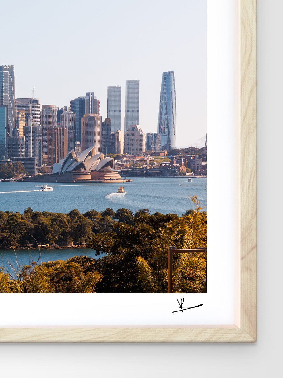 Taronga 01 - Wall Art Print - Australia Unseen