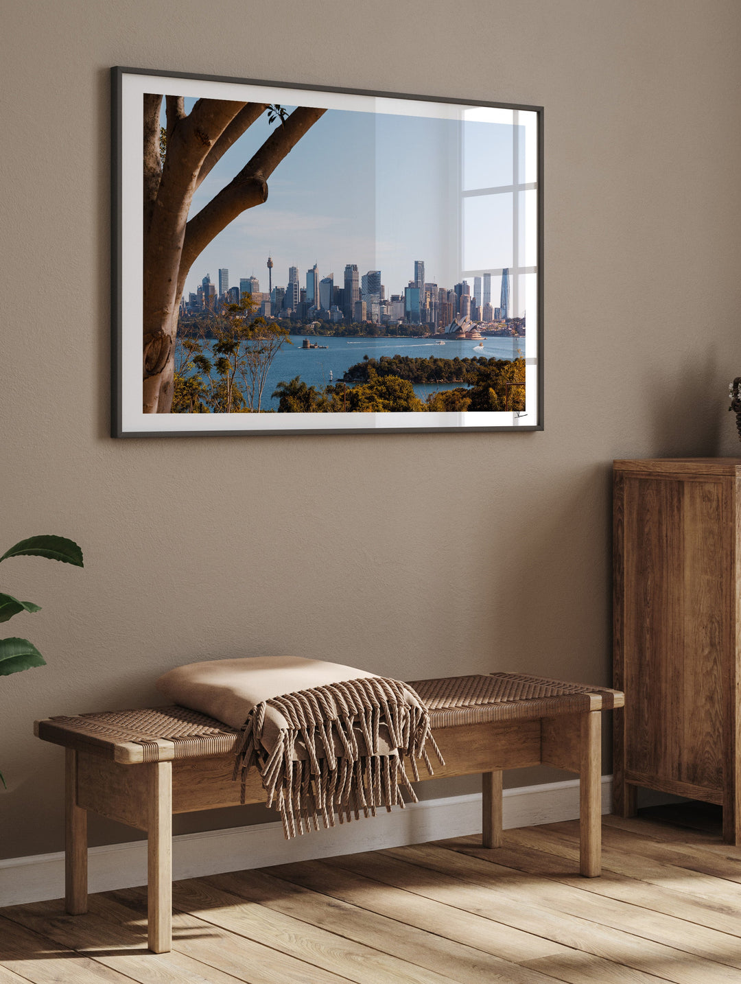 Taronga 01 - Wall Art Print - Australia Unseen