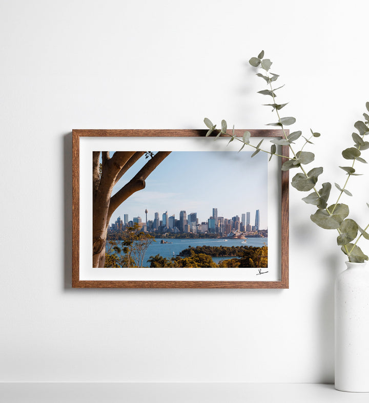 Taronga 01 - Wall Art Print - Australia Unseen