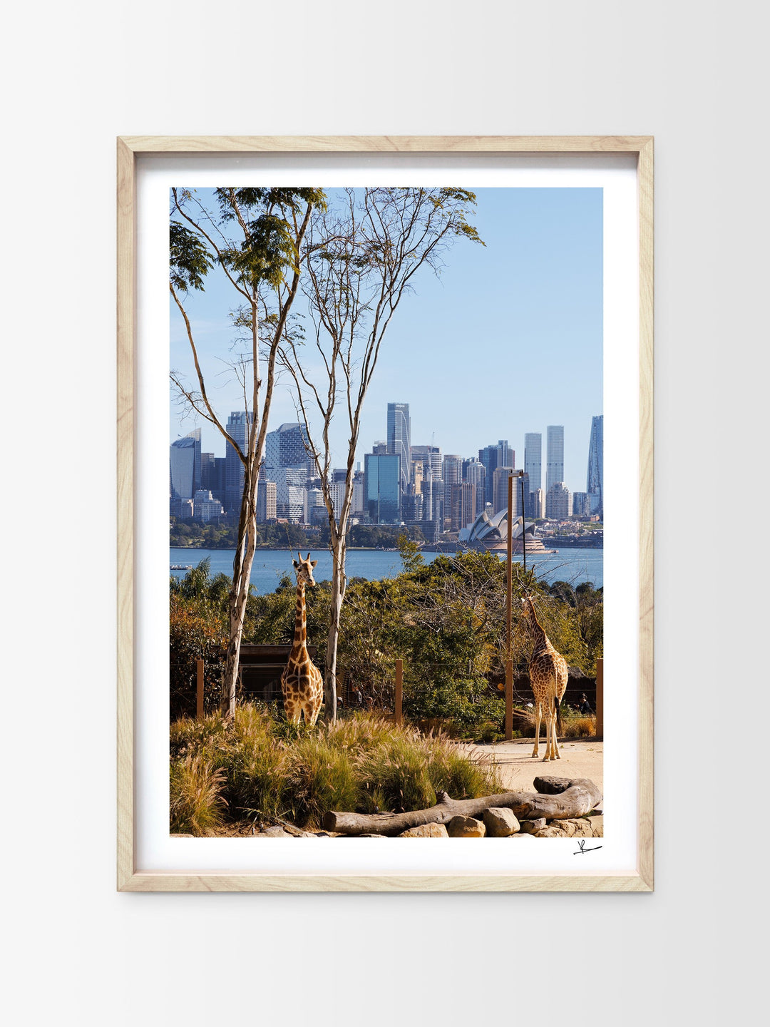 Taronga 02 - Wall Art Print - Australia Unseen