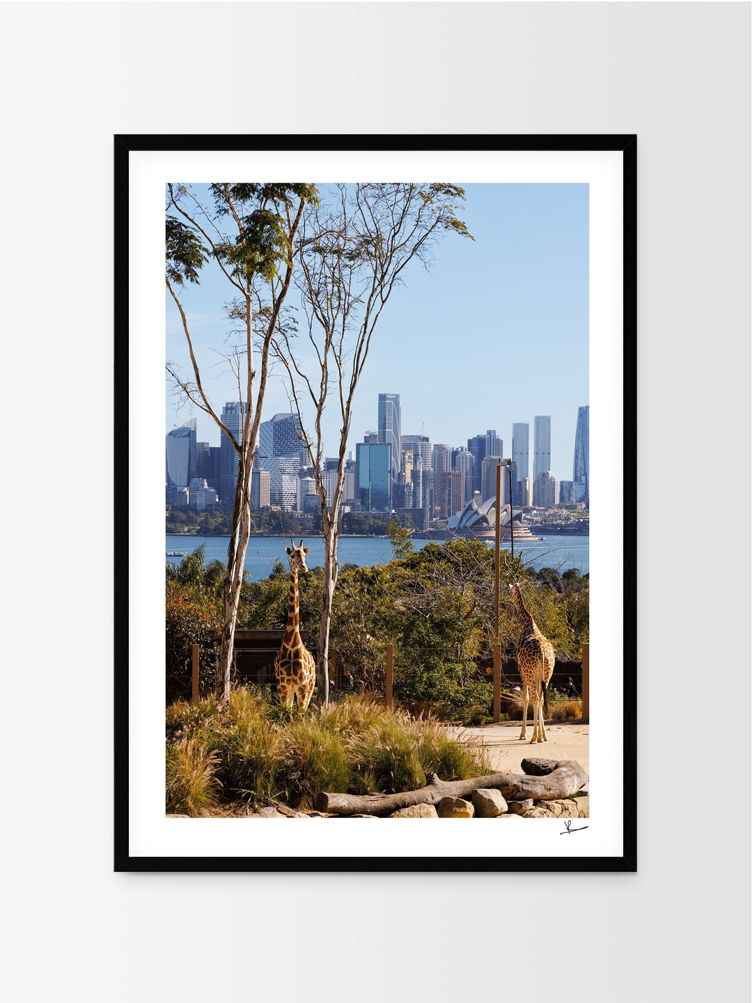 Taronga 02 - Wall Art Print - Australia Unseen