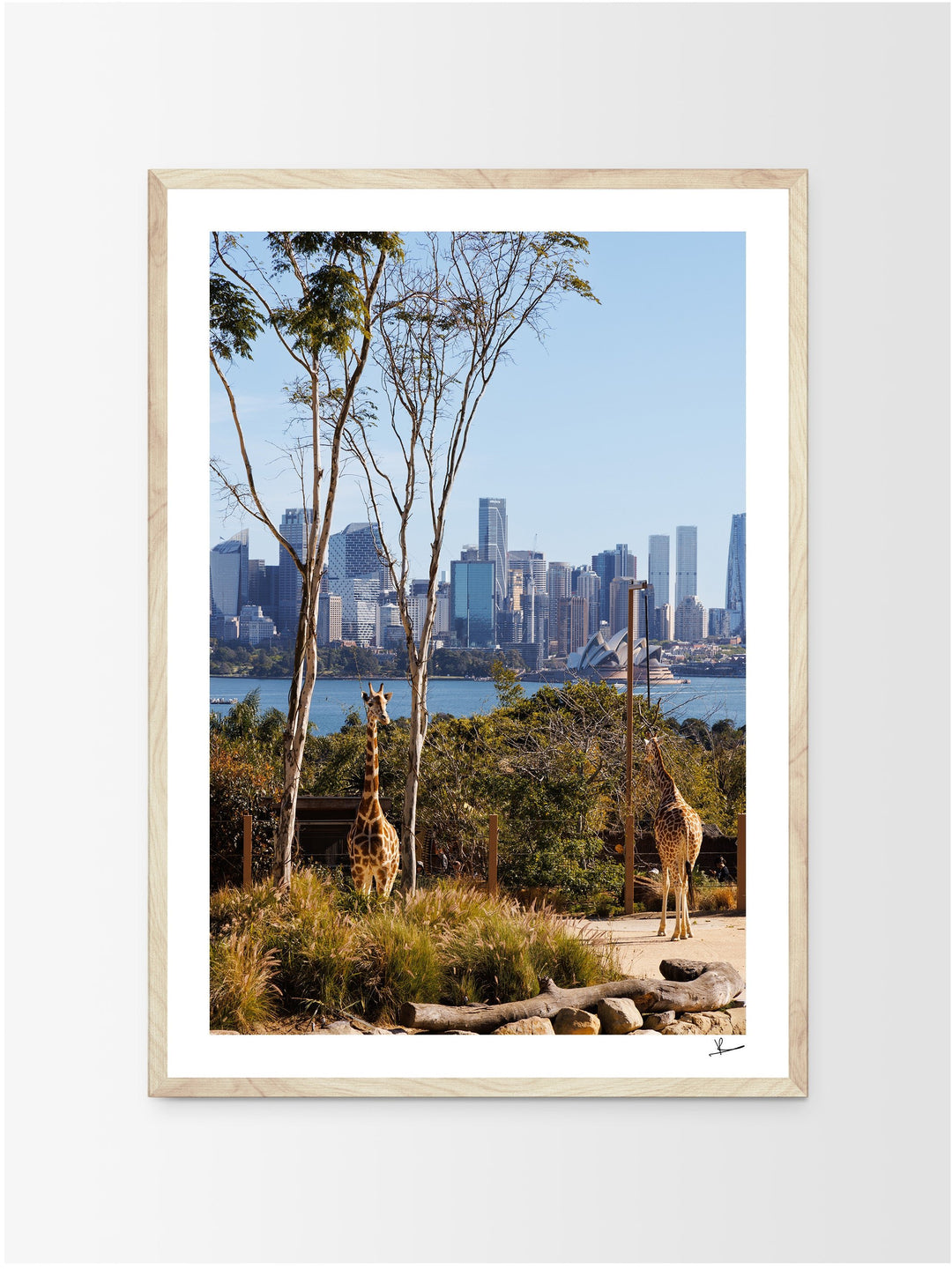 Taronga 02 - Wall Art Print - Australia Unseen