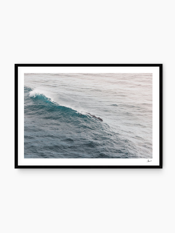 The Dolphins' Pod - Wall Art Print - Australia Unseen