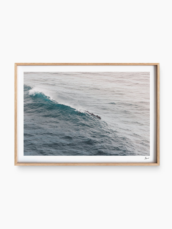The Dolphins' Pod - Wall Art Print - Australia Unseen