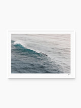 The Dolphins' Pod - Wall Art Print