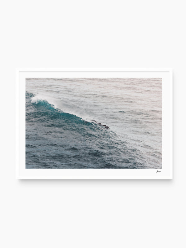 The Dolphins' Pod - Wall Art Print - Australia Unseen
