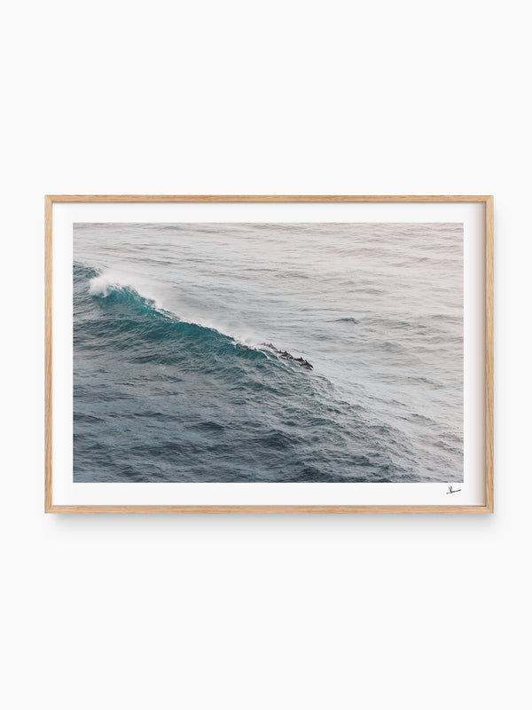 The Dolphins' Pod - Wall Art Print - Australia Unseen