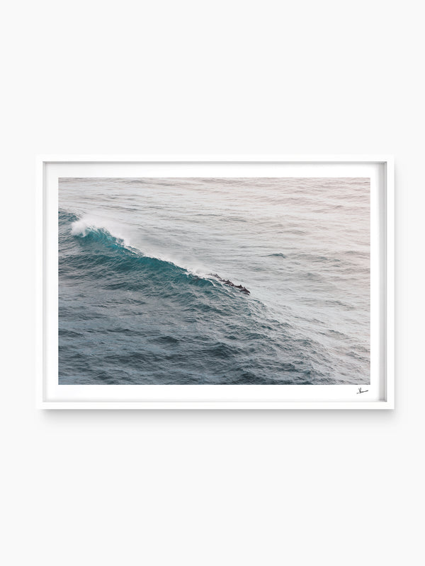 The Dolphins' Pod - Wall Art Print - Australia Unseen