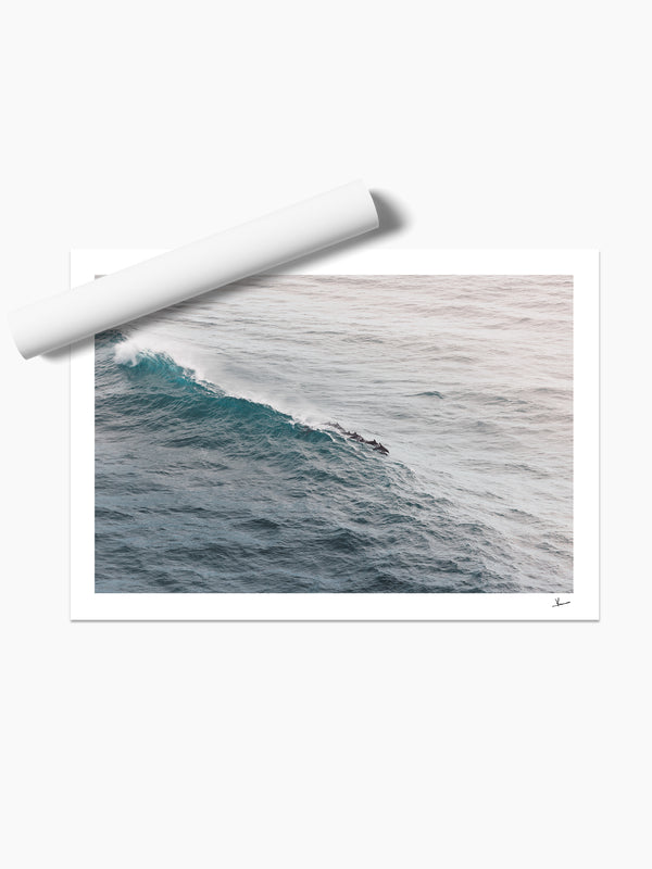 The Dolphins' Pod - Wall Art Print - Australia Unseen