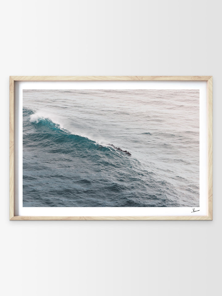 The Dolphins' Pod - Wall Art Print - Australia Unseen