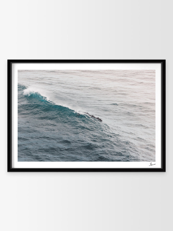 The Dolphins' Pod - Wall Art Print - Australia Unseen