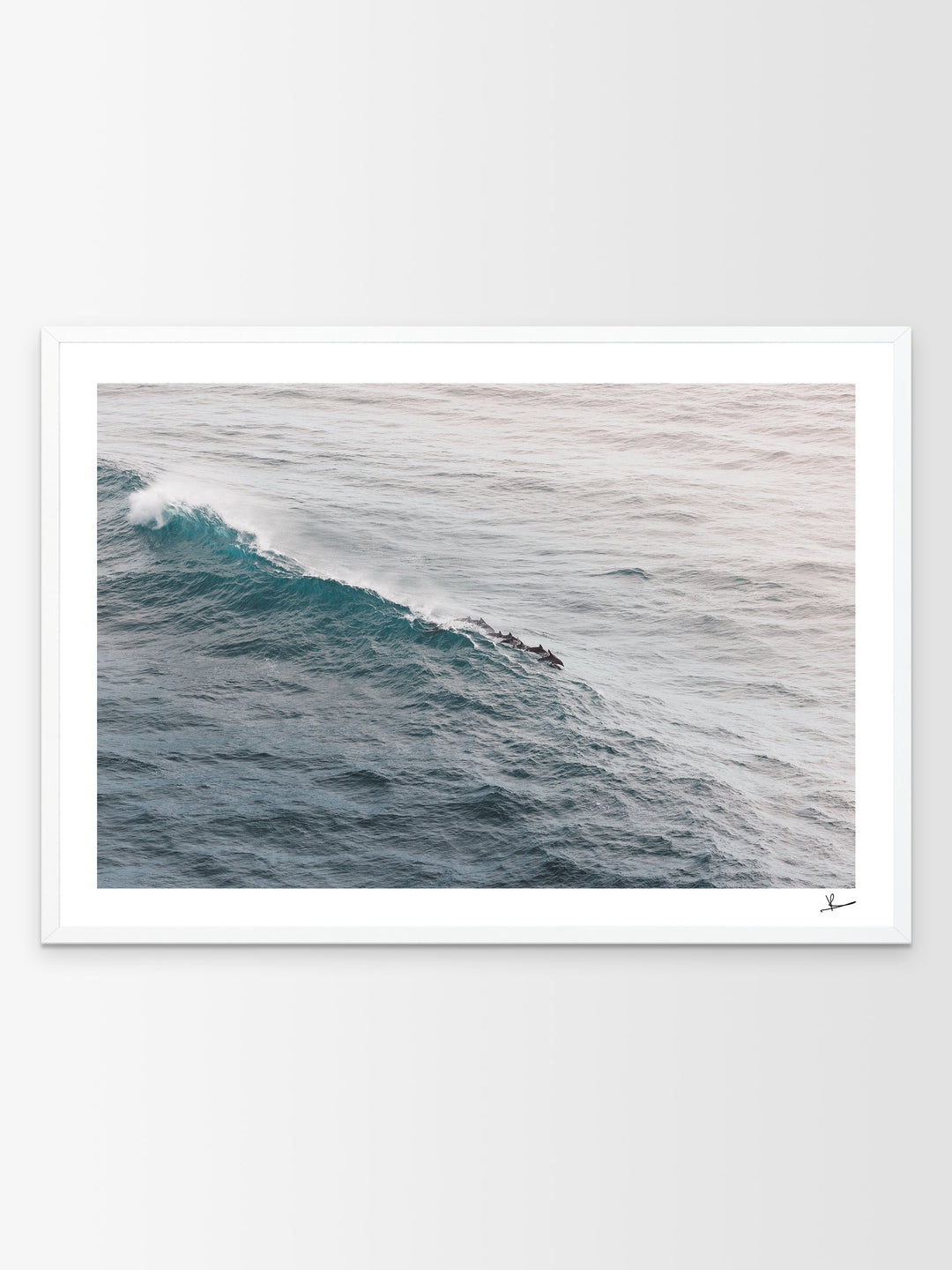 The Dolphins' Pod - Wall Art Print - Australia Unseen