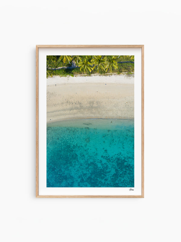 Tropicana Shore - South Molle Island - Whitsundays Wall Art Print - Australia Unseen