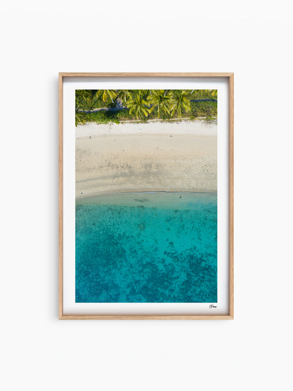 Tropicana Shore - South Molle Island - Whitsundays Wall Art Print - Australia Unseen