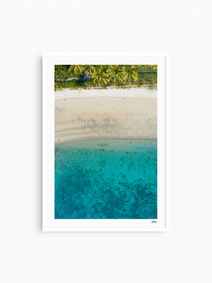 Tropicana Shore - South Molle Island - Whitsundays Wall Art Print - Australia Unseen