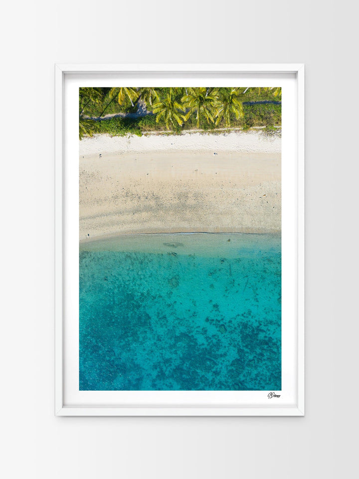 Tropicana Shore – South Molle Island – Whitsundays Wall Art Print - Australia Unseen