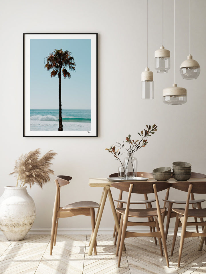 Palm Tree 01 (Whale Beach) - Australia Unseen - Wall Art Print