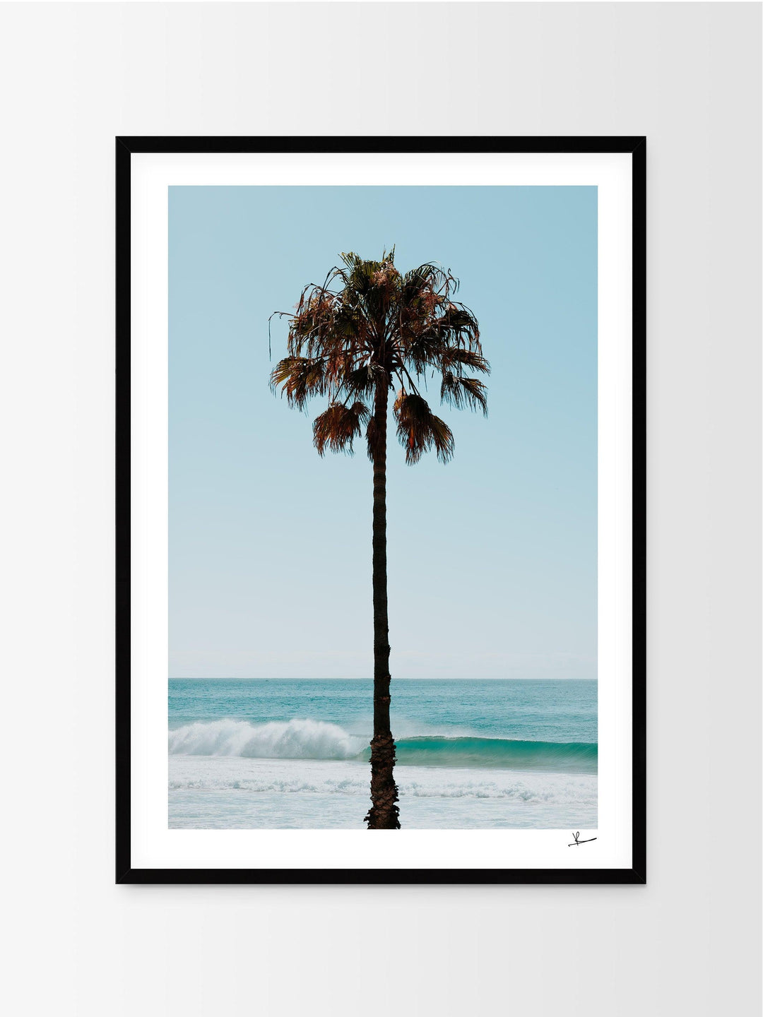 Palm Tree 01 (Whale Beach) - Wall Art Print - Australia Unseen