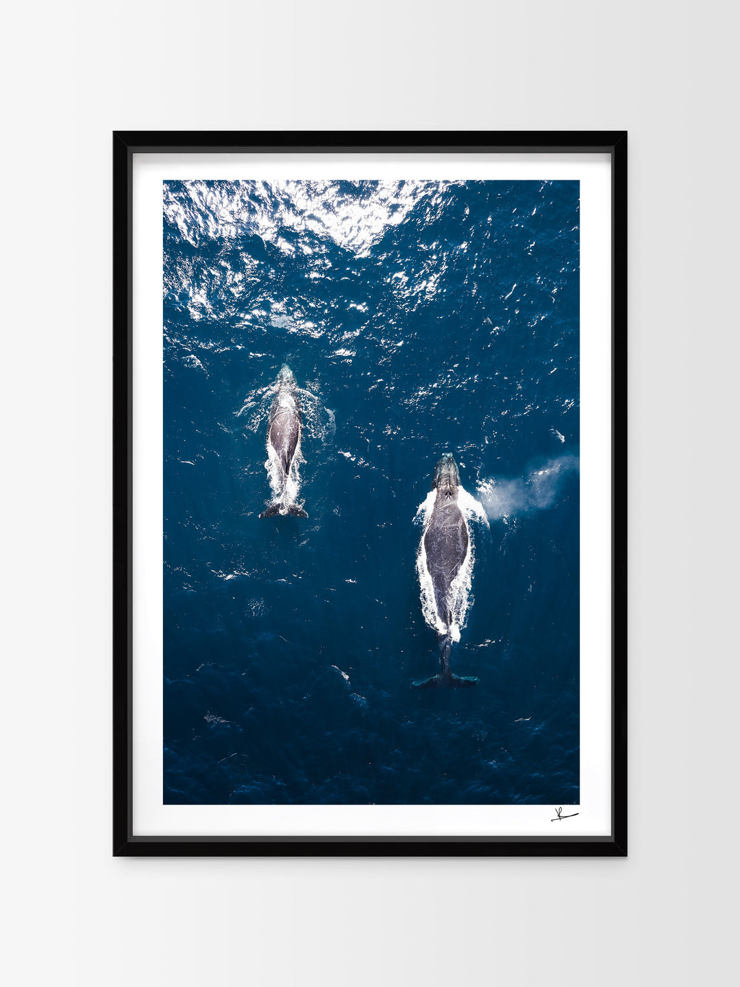 Whales 01 (Maroubra) - Australia Unseen - Wall Art Print