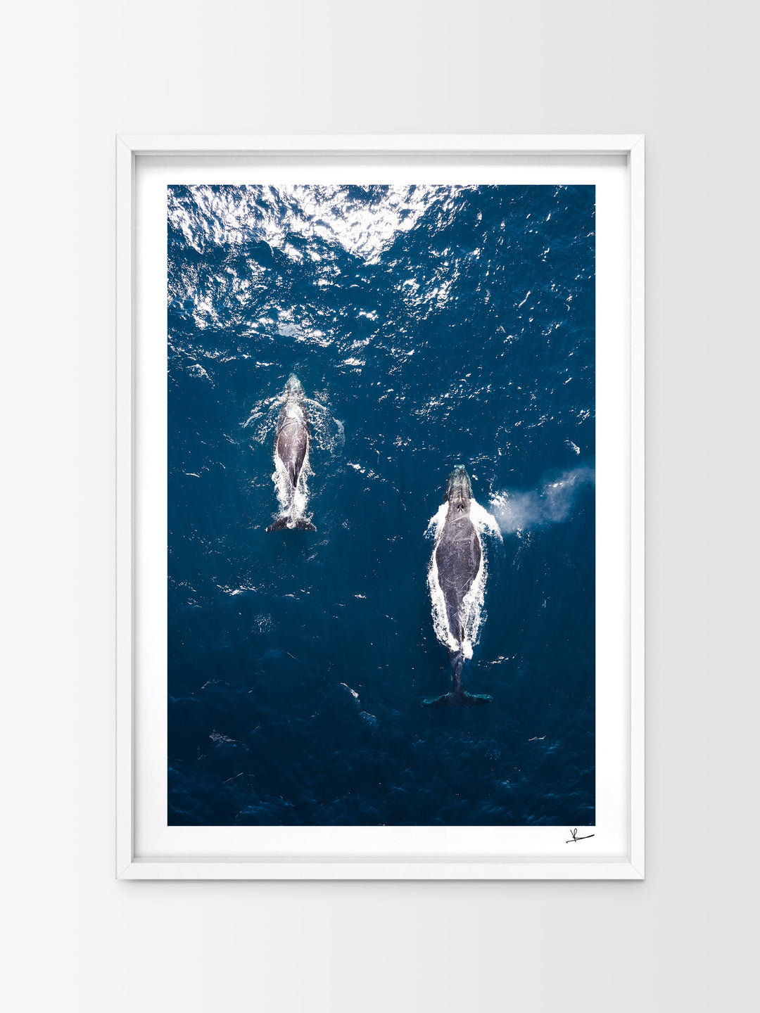 Whales 01 (Maroubra) - Australia Unseen - Wall Art Print